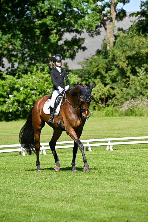  | 13062025 Dressur _0607 