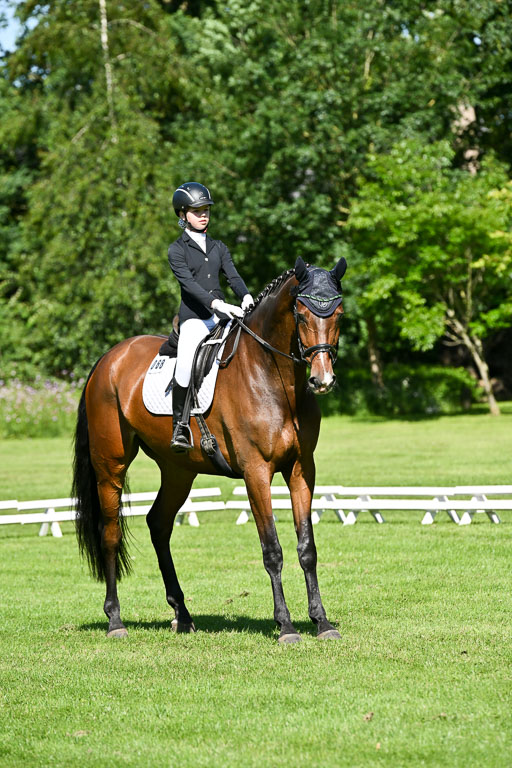  | 13062025 Dressur _0609 