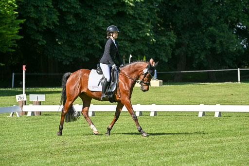  | 13062025 Dressur _0611 