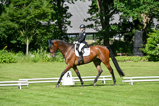  | 13062025 Dressur _0615 