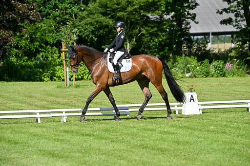  | 13062025 Dressur _0616 