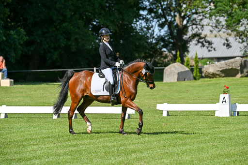  | 13062025 Dressur _0618 