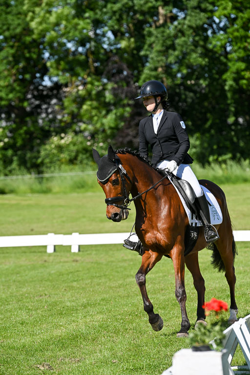  | 13062025 Dressur _0619 