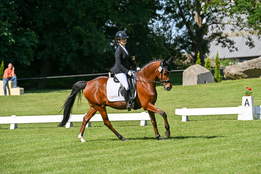  | 13062025 Dressur _0622 
