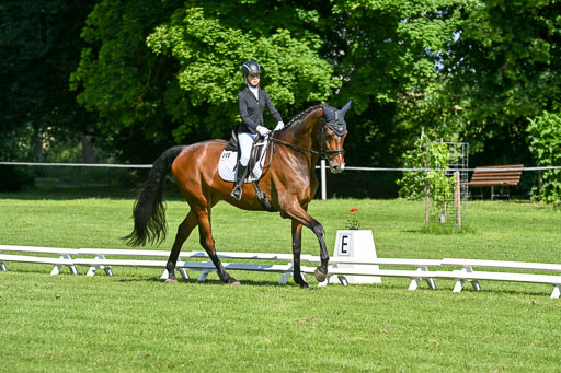  | 13062025 Dressur _0626 