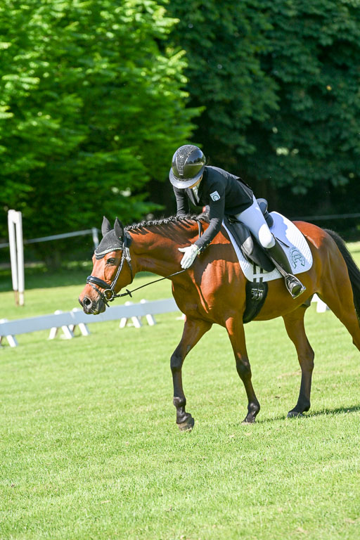  | 13062025 Dressur _0631 