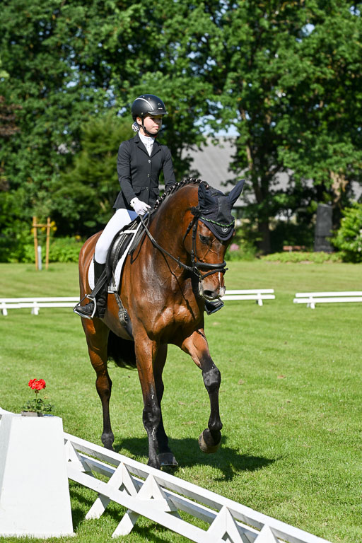  | 13062025 Dressur _0634 