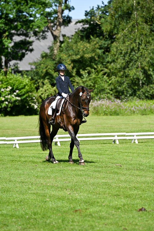  | 13062025 Dressur _0641 