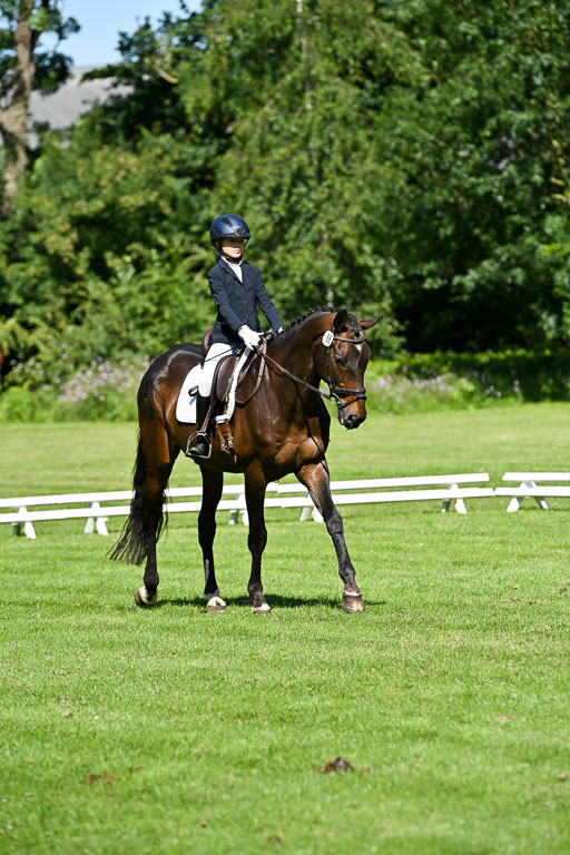  | 13062025 Dressur _0642 