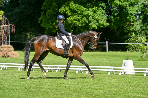  | 13062025 Dressur _0646 