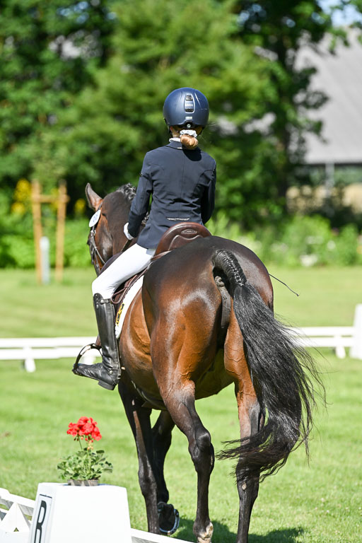  | 13062025 Dressur _0650 
