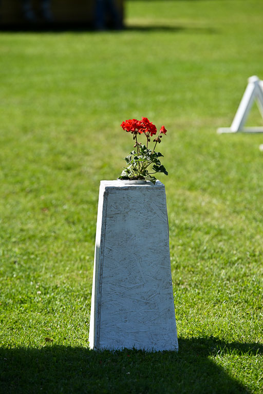  | 13062025 Dressur _0654 