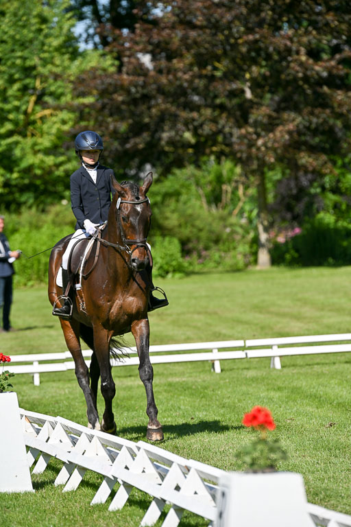  | 13062025 Dressur _0655 