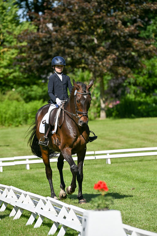  | 13062025 Dressur _0656 