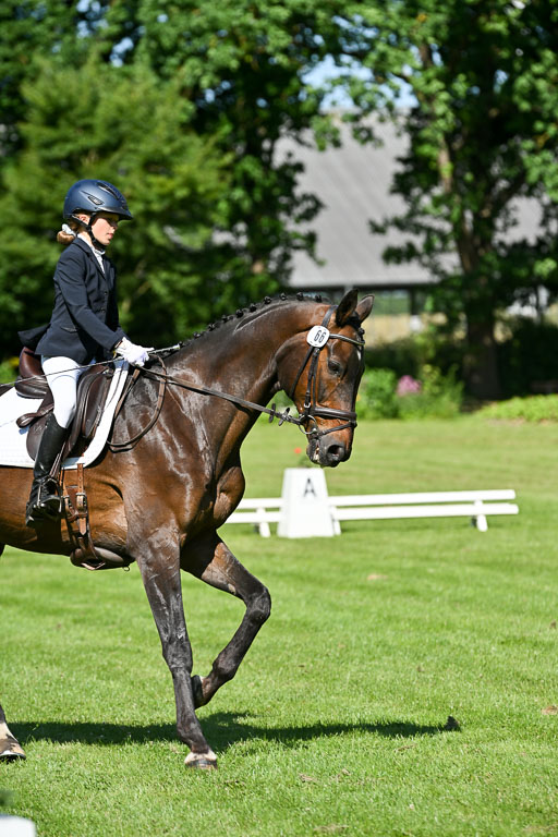  | 13062025 Dressur _0659 