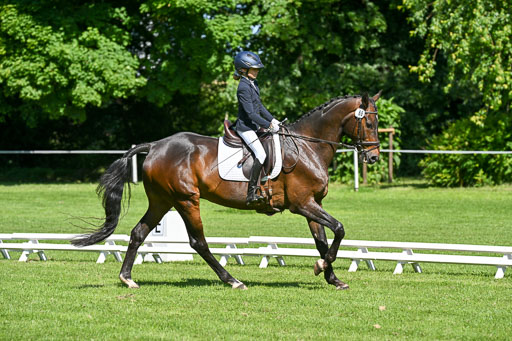  | 13062025 Dressur _0660 