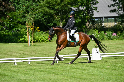 13062025-Dressur-_0680.jpg