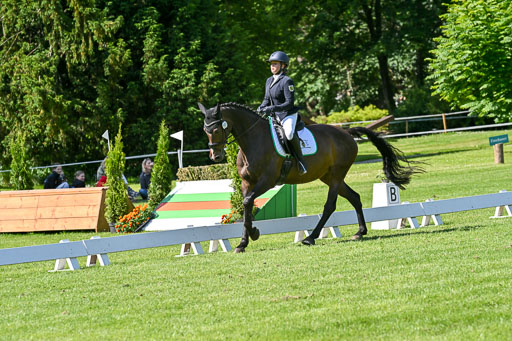  | 13062025 Dressur _0687 