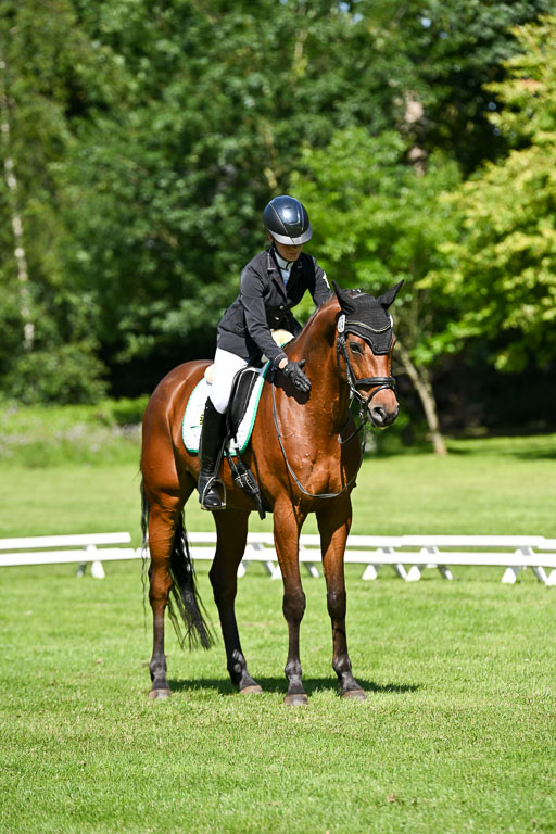  | 13062025 Dressur _0692 