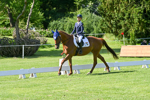  | 13062025 Dressur _0721 