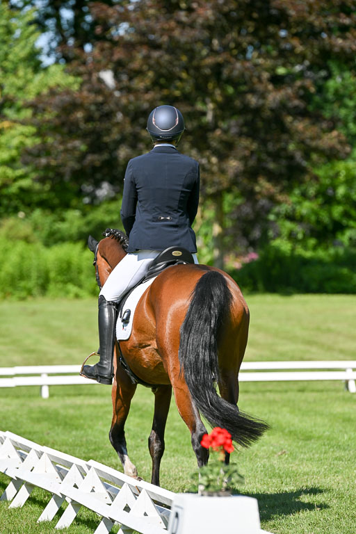  | 13062025 Dressur _0743 