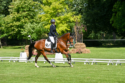  | 13062025 Dressur _0746 