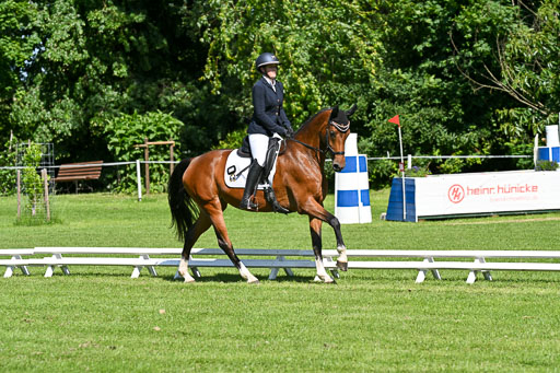  | 13062025 Dressur _0748 