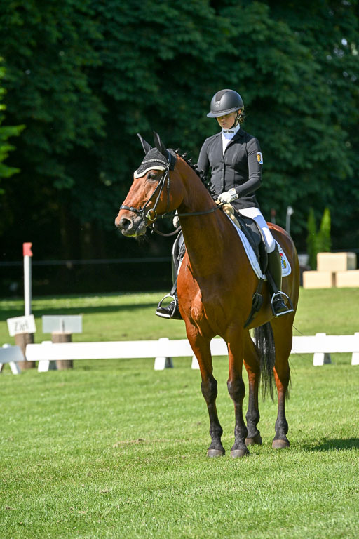  | 13062025 Dressur _0758 