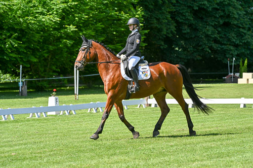  | 13062025 Dressur _0763 