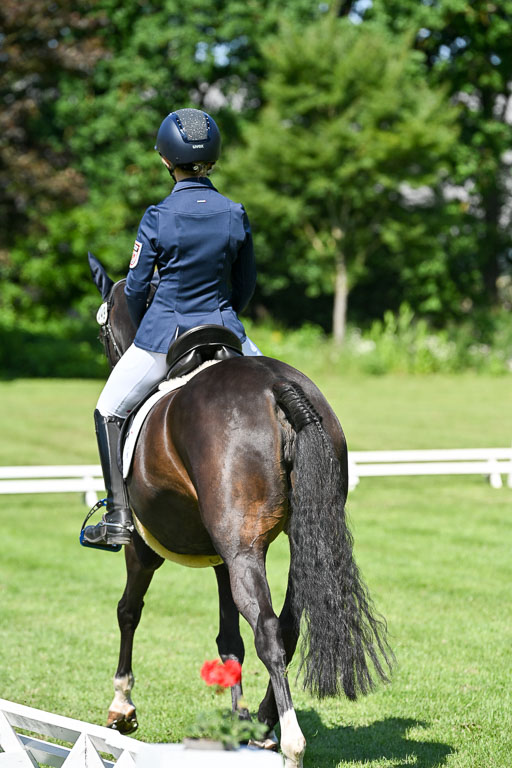  | 13062025 Dressur _0781 