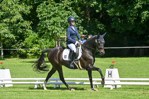  | 13062025 Dressur _0784 