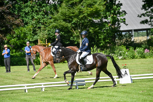  | 13062025 Dressur _0787 