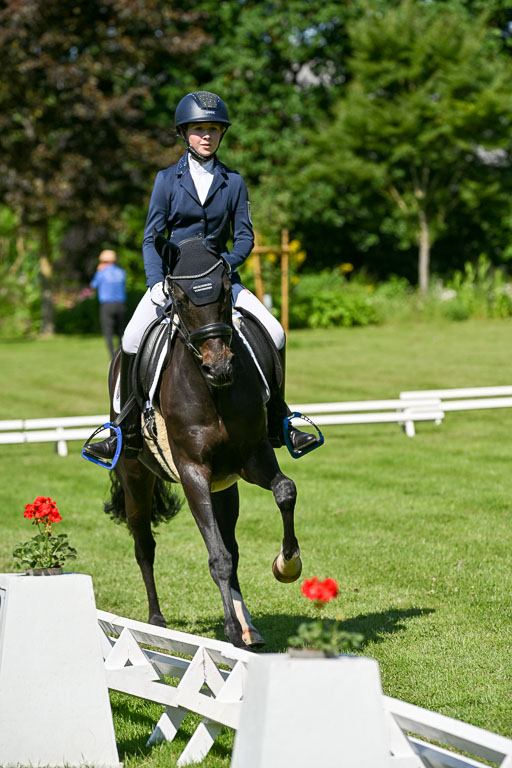  | 13062025 Dressur _0788 