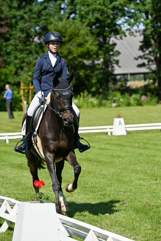  | 13062025 Dressur _0789 