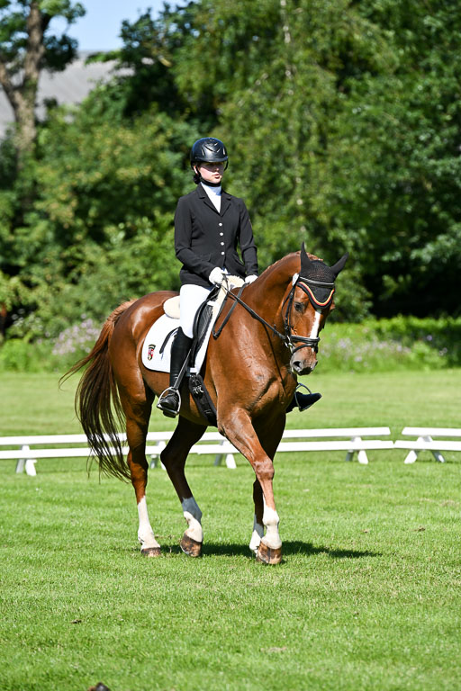  | 13062025 Dressur _0795 