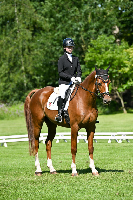  | 13062025 Dressur _0796 