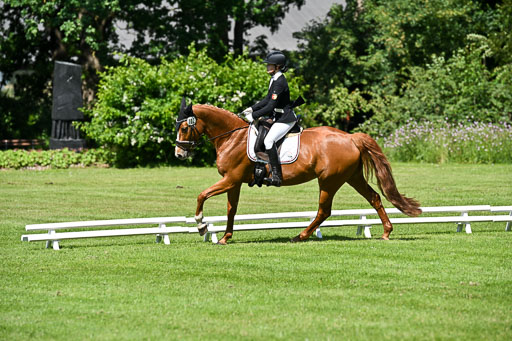  | 13062025 Dressur _0941 