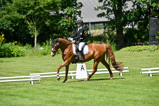  | 13062025 Dressur _0942 