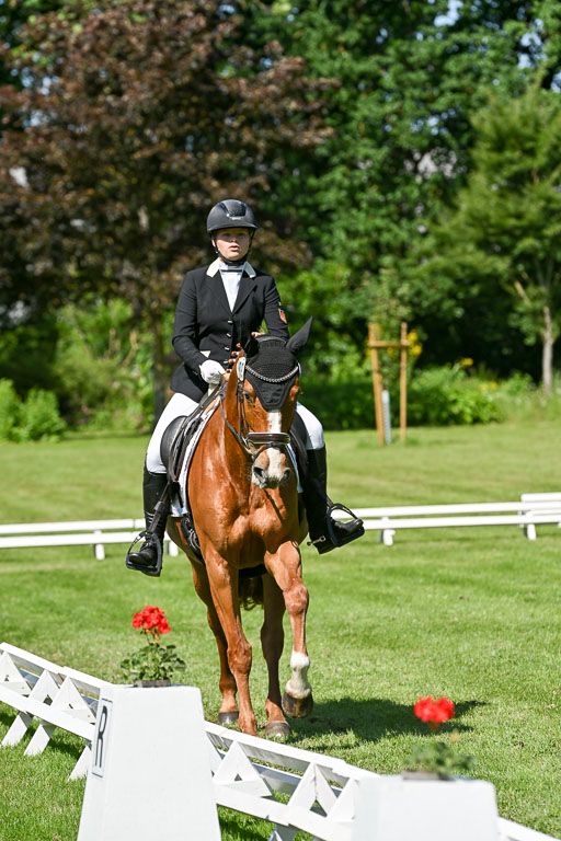  | 13062025 Dressur _0945 