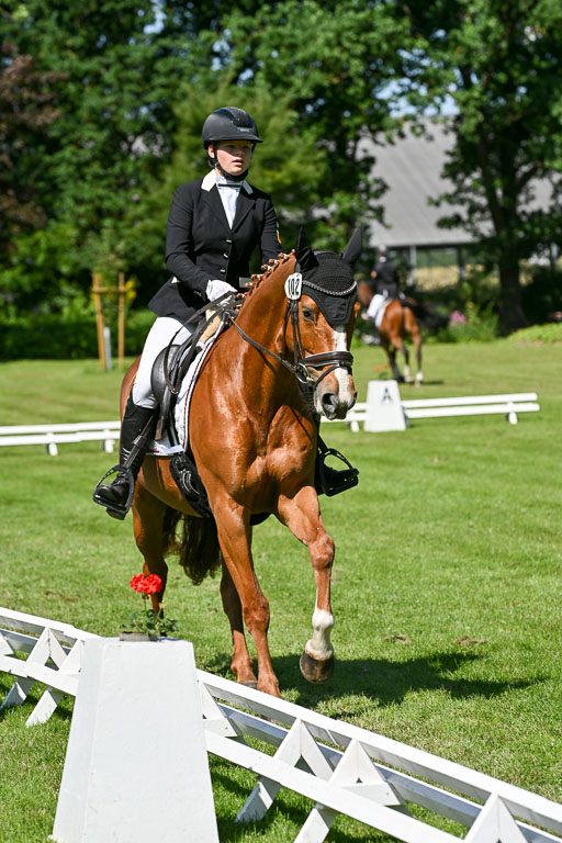  | 13062025 Dressur _0946 