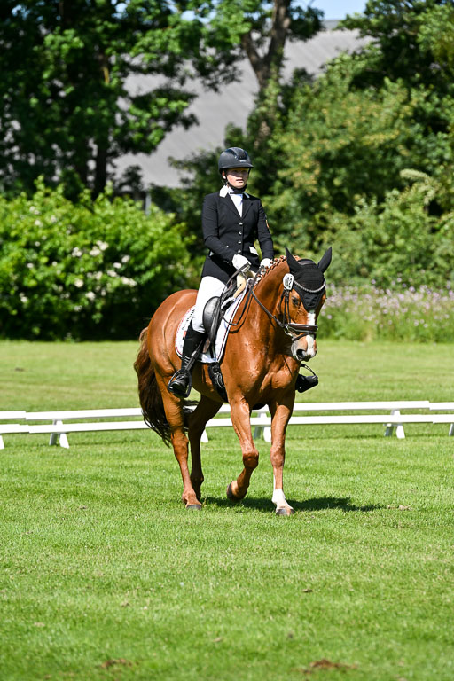  | 13062025 Dressur _0947 