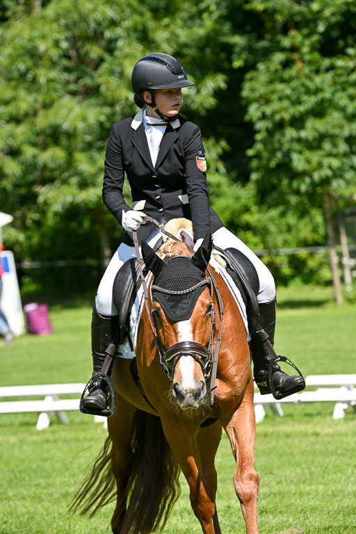  | 13062025 Dressur _0949 