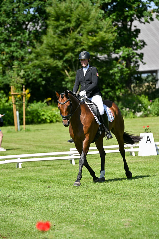  | 13062025 Dressur _0951 