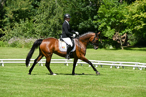  | 13062025 Dressur _0969 