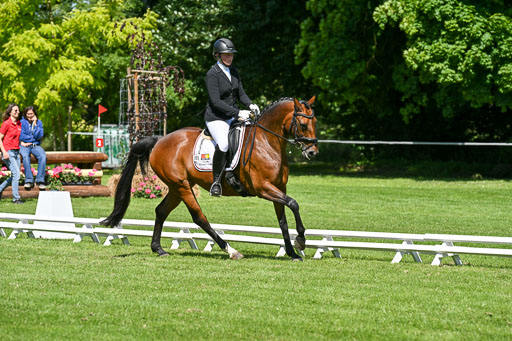  | 13062025 Dressur _0970 