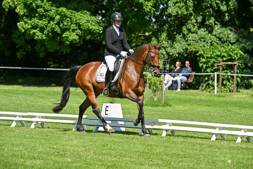  | 13062025 Dressur _0972 
