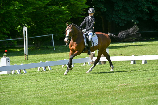  | 13062025 Dressur _0975 