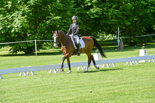  | 13062025 Dressur _0976 