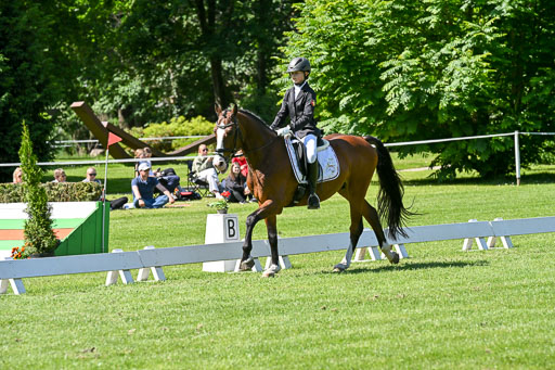  | 13062025 Dressur _0977 