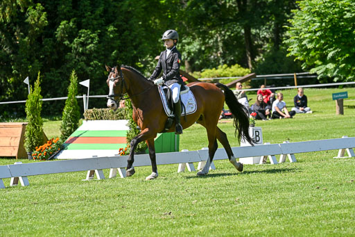  | 13062025 Dressur _0978 